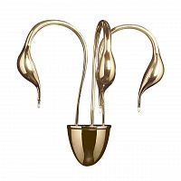 бра lightstar cigno collo 751632 в Самаре