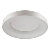 потолочный светодиодный светильник odeon light sole 4062/80cl в Самаре