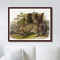 картина: jaguar, 1841г. в Самаре