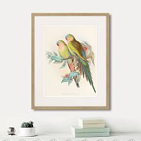 картина: love parrots, 1850г. в Самаре