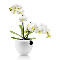 горшок для орхидеи orchid pot белый в Самаре