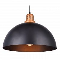 подвесной светильник arte lamp eurica a4249sp-1bk в Самаре