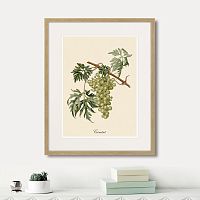 картина juicy fruit lithography №13, 1870 г., 42х52 см в Самаре