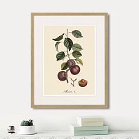 картина: juicy fruit lithography №6, 1870г. в Самаре