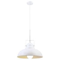 подвесной светильник arte lamp martin a5213sp-1wg в Самаре