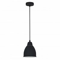 подвесной светильник arte lamp braccio a2054sp-1bk в Самаре