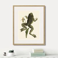 картина: big jumping frog, 1745г. в Самаре