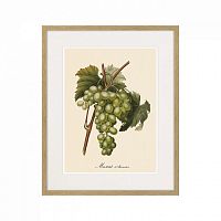 картина juicy fruit lithography №13-1, 1870 г., 42х52 см в Самаре