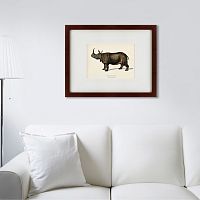 картина: rhinoceros ancienne gravure, 1849 в Самаре