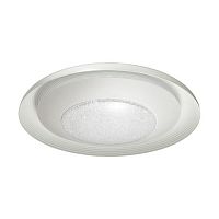 потолочный светодиодный светильник odeon light benso 4623/48cl в Самаре