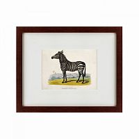 картина: a zebra, 1830 в Самаре