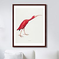 картина: scarlet ibis, 1827г. в Самаре