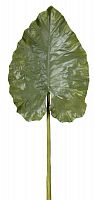 декор giant taro leaf в Самаре