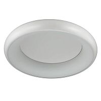 потолочный светодиодный светильник odeon light rondo 4063/50cl в Самаре