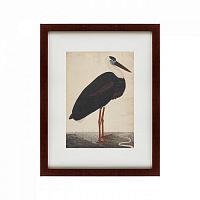 картина: black stork in a landscape, индия, 1780 в Самаре