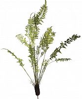 декор fern plant в Самаре