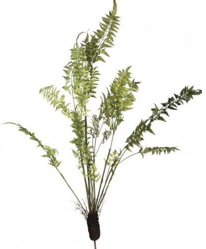 декор fern plant в Самаре