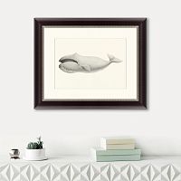 картина: bowhead whale (balaena mysticetus), 1856 в Самаре