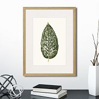 картина: single leaf of a plant №1, 1865г. в Самаре