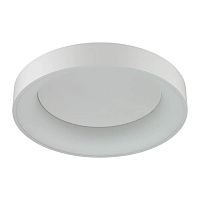 потолочный светодиодный светильник odeon light sole 4062/50cl в Самаре