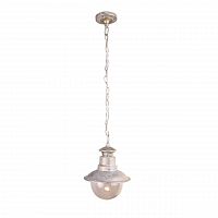 уличный подвесной светильник arte lamp amsterdam a1523so-1wg в Самаре